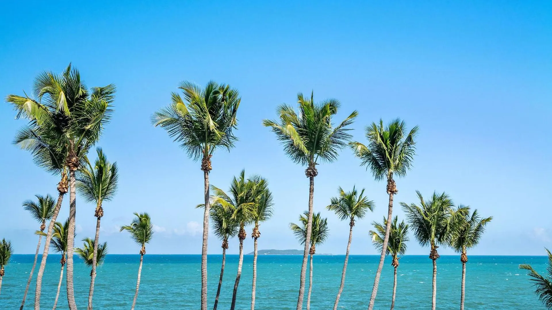 Apartament Your Ocean Zen Oasis Fajardo